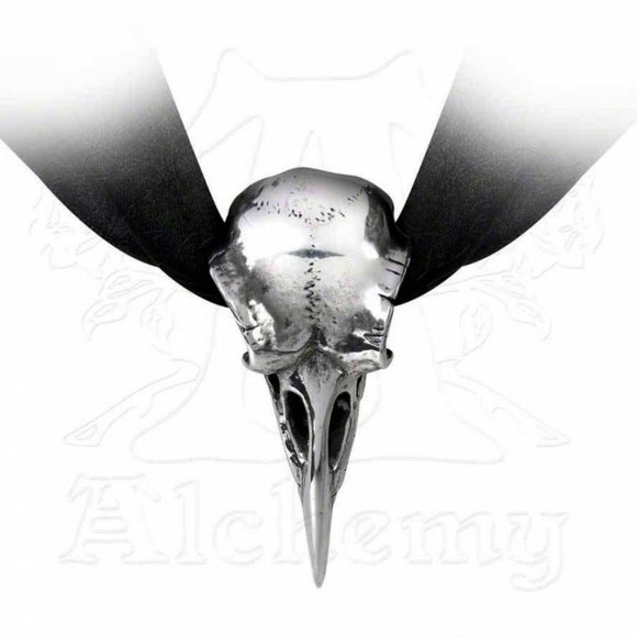 Rabeschadel Raven Skull Choker - Picture 1 of 5